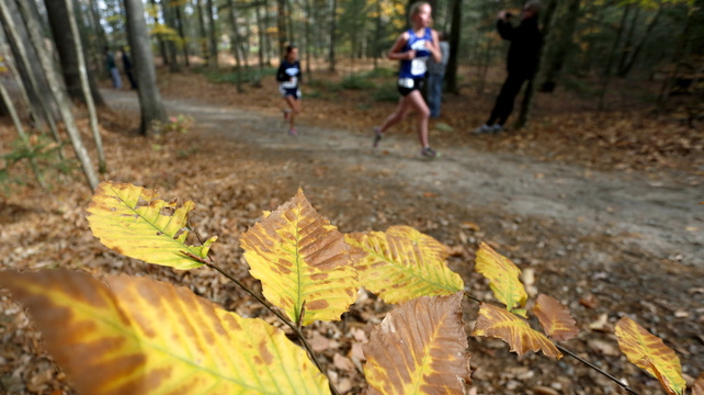 Competitors run in the woods and past the fall foliage during the Western Class B girls’ cross country regionals Saturday at Twin Brook Recreation Area.