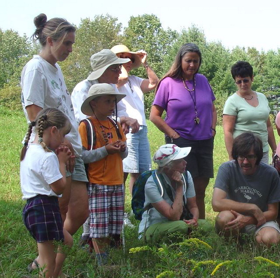A group studies species of goldenrod during a Skyline Farm Nature Walk. The next nature walk takes place at 1 p.m. Sunday at the farm in North Yarmouth.
