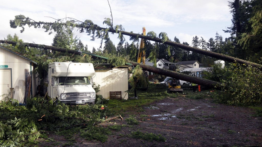 Trees that fell on outbuildings and a trailer when a tornado passed through the area earlier in the day are shown Monday in the Frederickson neighborhood near Puyallup, Wash. Several dozen homes were damaged in the storm.