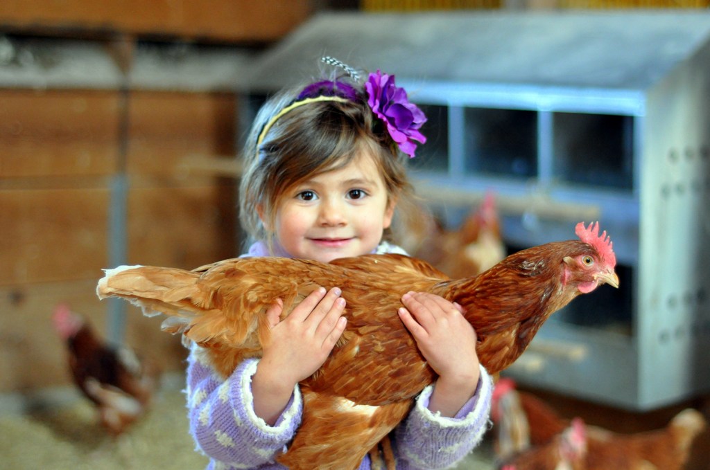 Autumn is the perfect time of year to bring the whole family to Pineland Farms.
