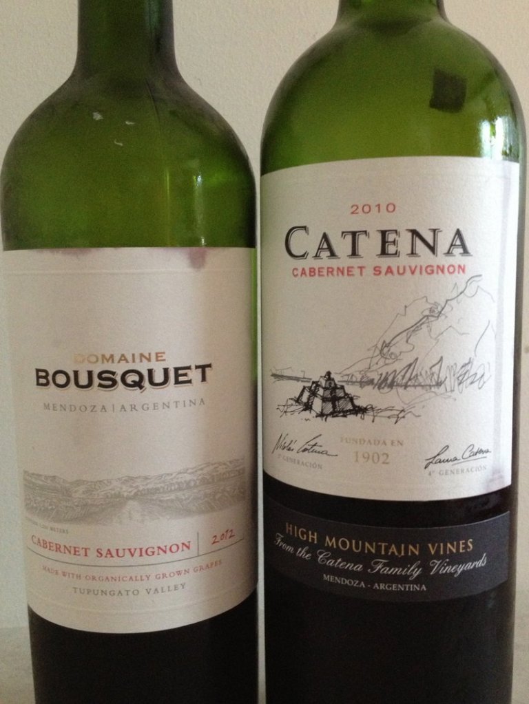 Two everyday wines: The Domaine Bousquet is a bit less controlled than Catena's Cabernet Sauvignon, which is approachable, but not boring.