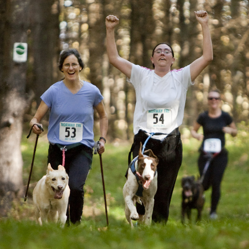 Jocelyn Bradbury of Oxford throws her arms up while cometing with her dog, K.T., at Roberts Farm Preserve last weekend. Fellow competitors Betsy McGettigan with pup Hillary, left, and Liz York with Moe, keep pace.