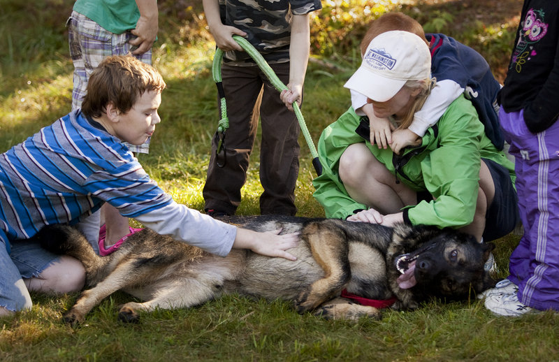 A well-deserved tummy rub is applied by Ben Hodgkins, 12, of Norway, after the fourth annual Canine Cross on the trails of the Roberts Farm Preserve in Norway last weekend.