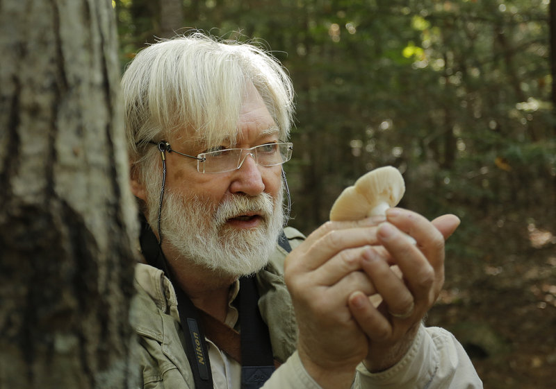 That’s a russula mushroom in the hands of Fred Cichocki, who explains it in detail during a guided walk through the Thorne Head Preserve.