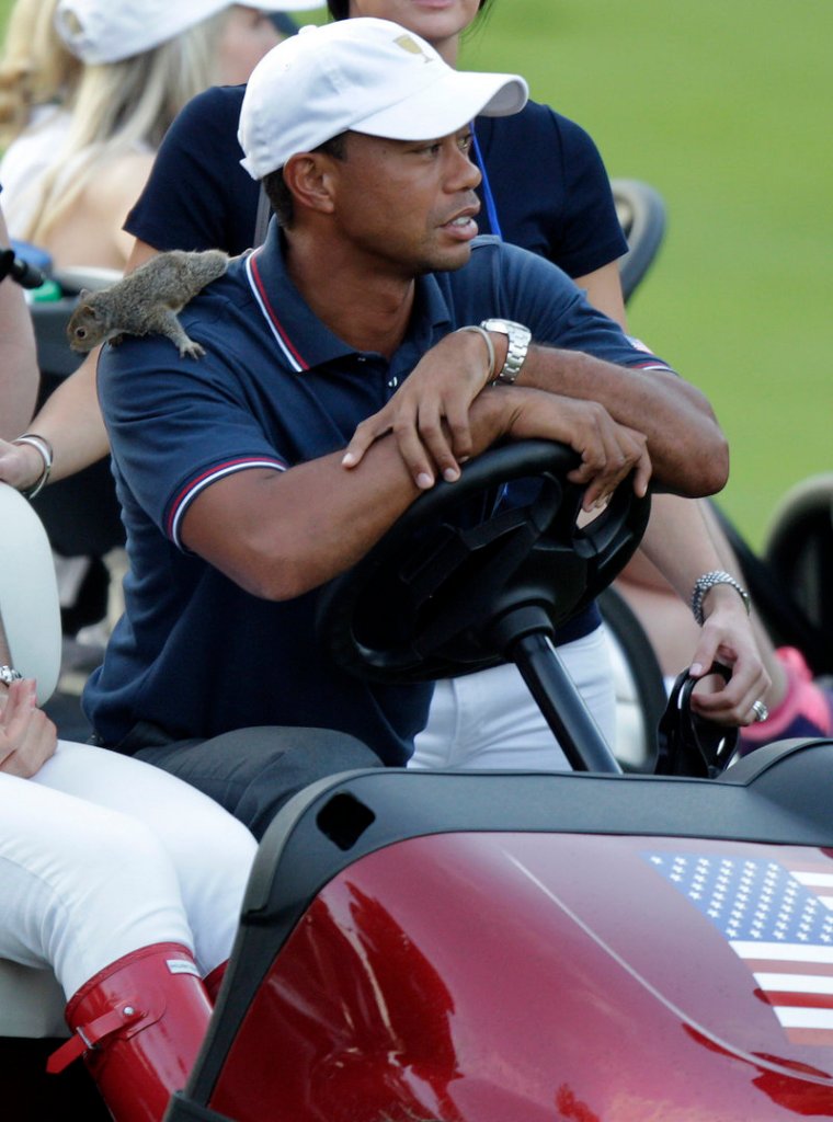 Tiger Woods seems unfazed by Sammy the Squirrel, placed on his back by Lindsey Vonn after it was picked off the second hole.