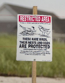A sign on Pine Point Beach in Scarborough indicates a plover habitat location. Voters will decide Tuesday whether to uphold a strict new leash law.