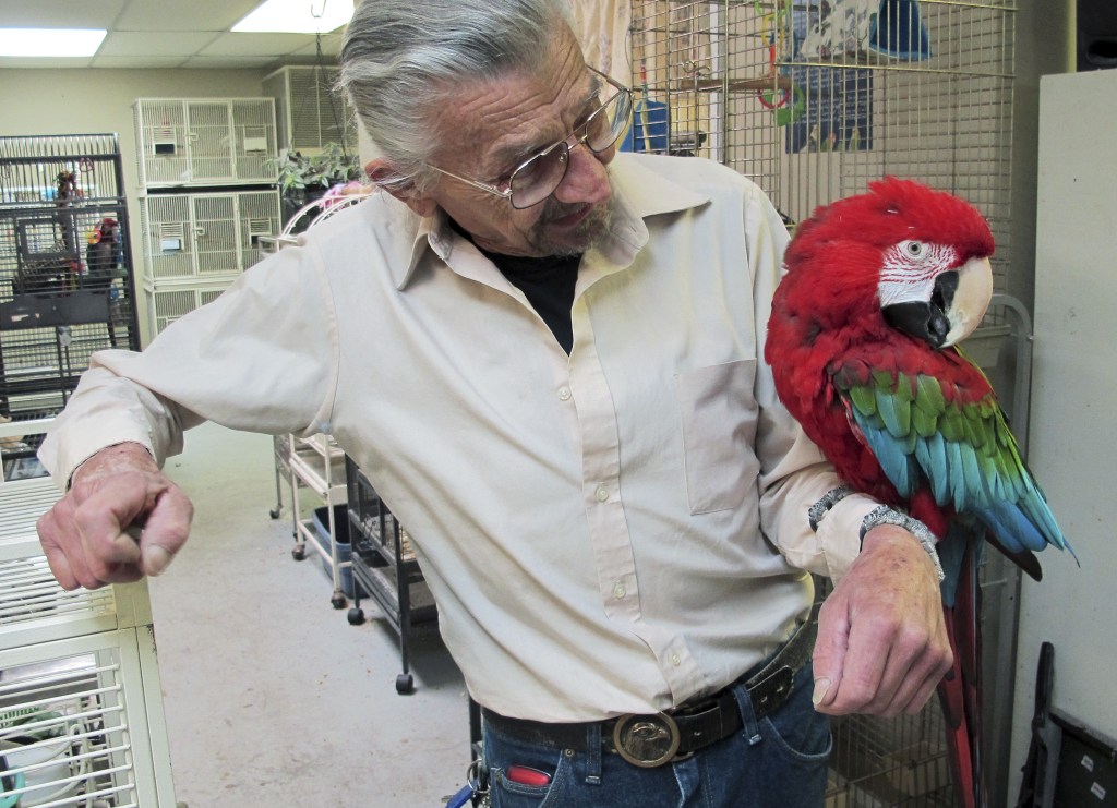 Steve Lazicki holds Santina, a 14-year-old macaw, at Lazicki’s Bird House and Rescue in South Kingstown, R.I. The commercial building is slated for demolition and he and the 80 avian strays in his care must be out by Dec. 30.