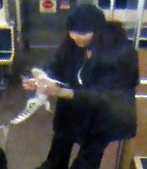 This security camera image provided by the Chicago Transit Authority shows a woman with a two-foot-long alligator aboard a CTA Blue Line train early in the morning of Nov. 1, 2013. Authorities are searching for the woman, who they believe discarded the reptile at O’Hare International Airport. The alligator was captured hours later after a maintenance worker found it under an escalator in a baggage claim area.