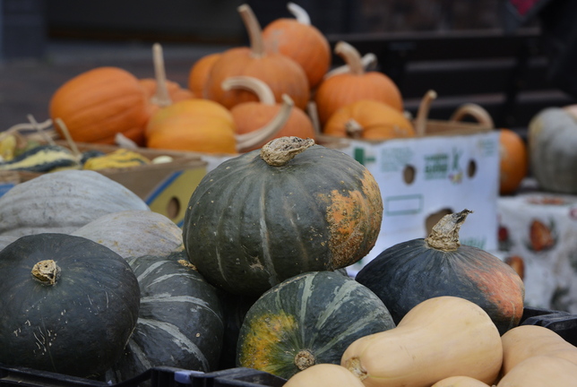 Growers say that a lot of squash varieties taste better now than when they were freshly harvested in September.