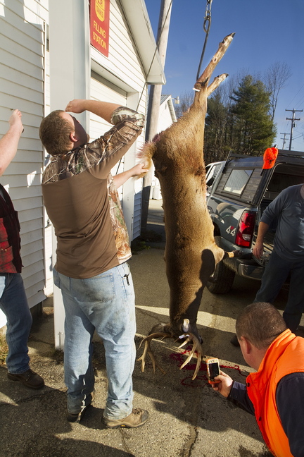 The buck Ross Taylor shot in Montville on Saturday is weighed outside the Freedom General Store in Freedom on opening day of deer hunting.