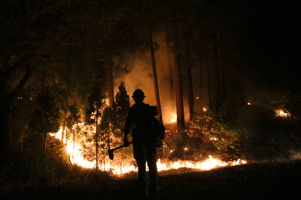 Firefighter John Curtis, of Big Bear, Calif., watches the Rim Fire burn last August near Yosemite National Park, Calif.