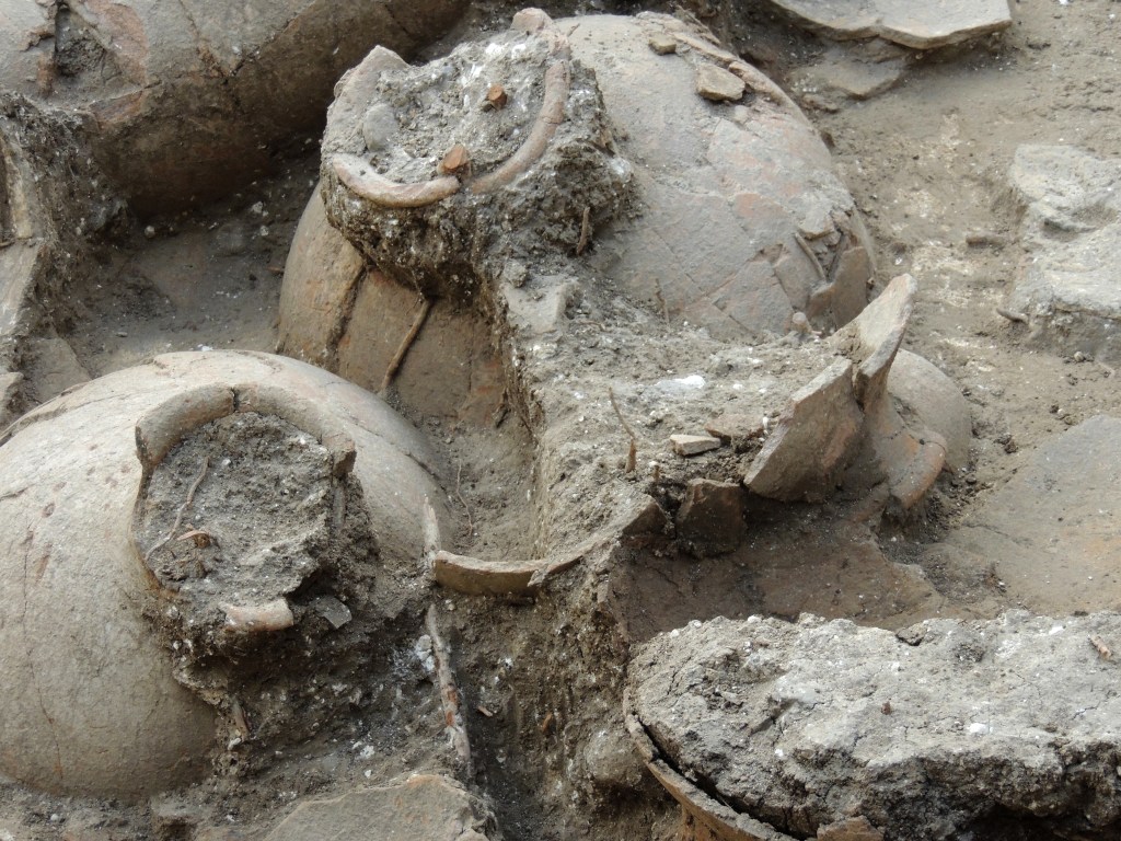 This undated photo provided by George Washington University shows 3,700-year-old jars were found in the ruins of a recently discovered wine cellar in a Canaanite palace that dates back to approximately 1700 B.C., near the modern town of Nahariya in northern Israel. Researchers found 40 ceramic jars, each big enough to hold about 13 gallons, in a single room.