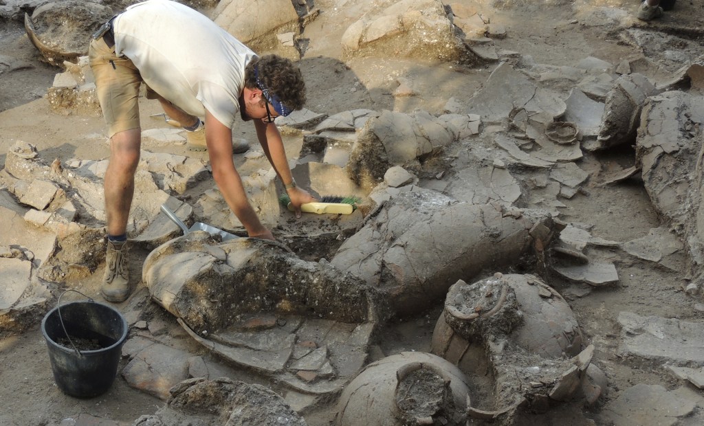 In an undated photo provided by George Washington University, Zach Dunseth carefully removes dirt and debris from ancient wine jars while excavating the ruins of a recently discovered wine cellar in a Canaanite palace in Israel.