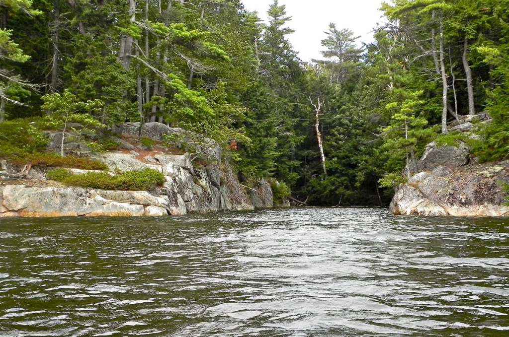 Beautiful views are around every bend when paddling your way through Chewonki Neck in Wiscasset.