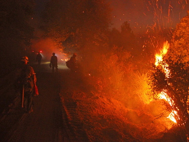 Monterey firefighters hold the line at the Rim Fire at night in this undated U.S. Forest Service photo. Scientists say even the most severely burnt patches of landscape need preservation because they are crucial to wildlife and to forest regeneration.