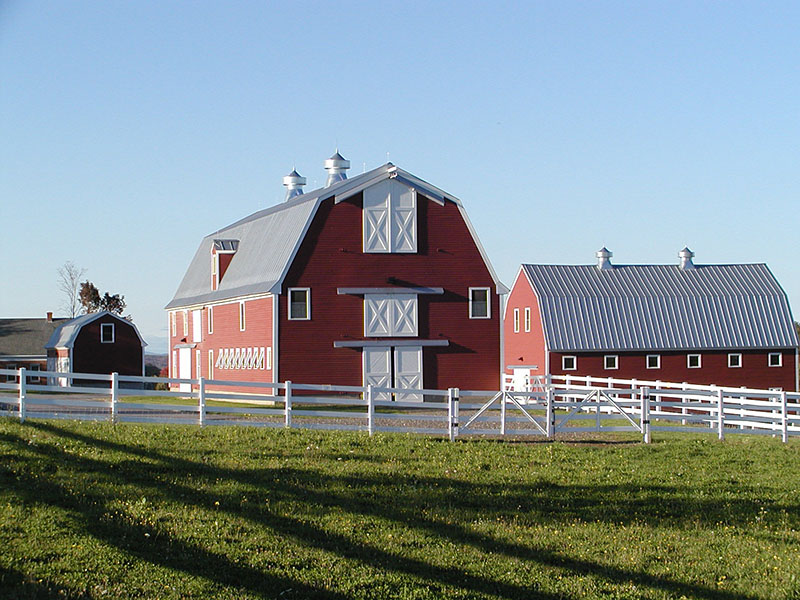 “Friday on the Farm" is a great way to introduce and reconnect kids with our farming heritage as they learn where milk comes from, get a chance to milk a cow, and collect chicken eggs. 