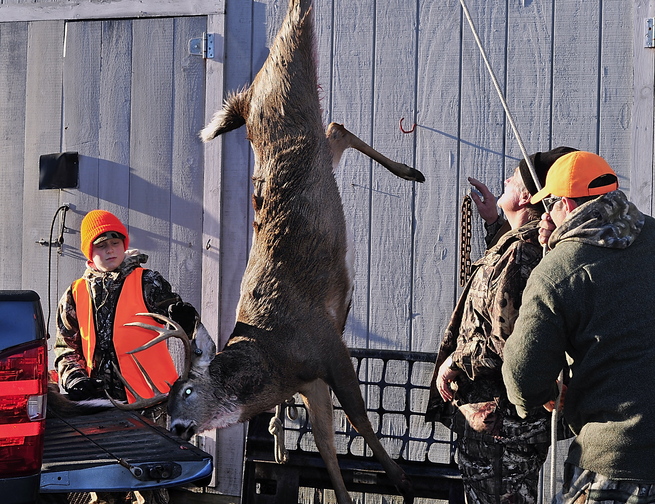 A handsome buck is weighed prior to being tagged at Eldridge Lumber off Route 1 in York, one of Maine’s southern communities that autumn after autumn enjoys a productive deer-hunting season.