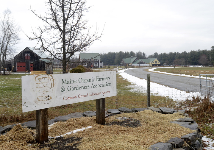 The Maine Organic Farmers & Gardeners Association, a nonprofit based in Unity that had a group plan through Dirigo, is analyzing whether to buy another small group plan or to direct employees to the individual market.