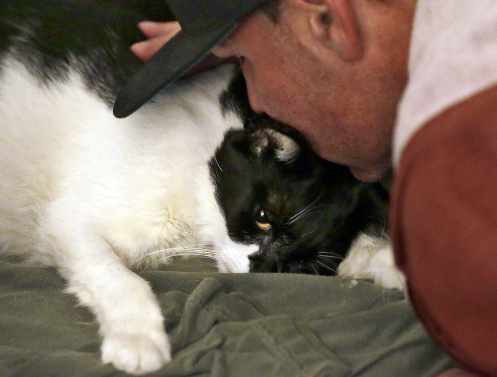 Mike Kelley gives his cat Andy a final kiss after veterinarian Dr. Mary Gardner gave the 10-year-old cat an injection, in Newport Beach, Calif. “Everything went as smoothly as it could go,” Kelley said.