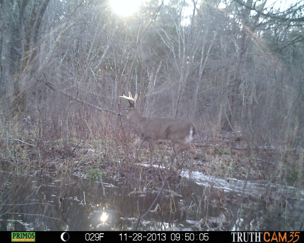 An easy shot was there for the taking, but the hunter wasn’t present when the buck activated the camera during the latter stages of hunting season.
