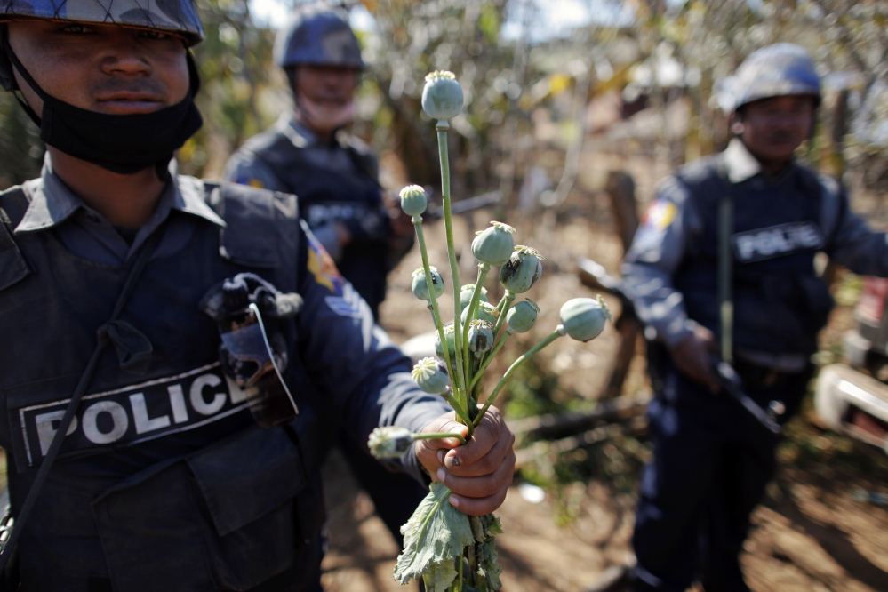 Despite police and government efforts to stop opium production in Myanmar, a U.N. drug and crime agency says production has actually risen 26 percent over 2012 output.