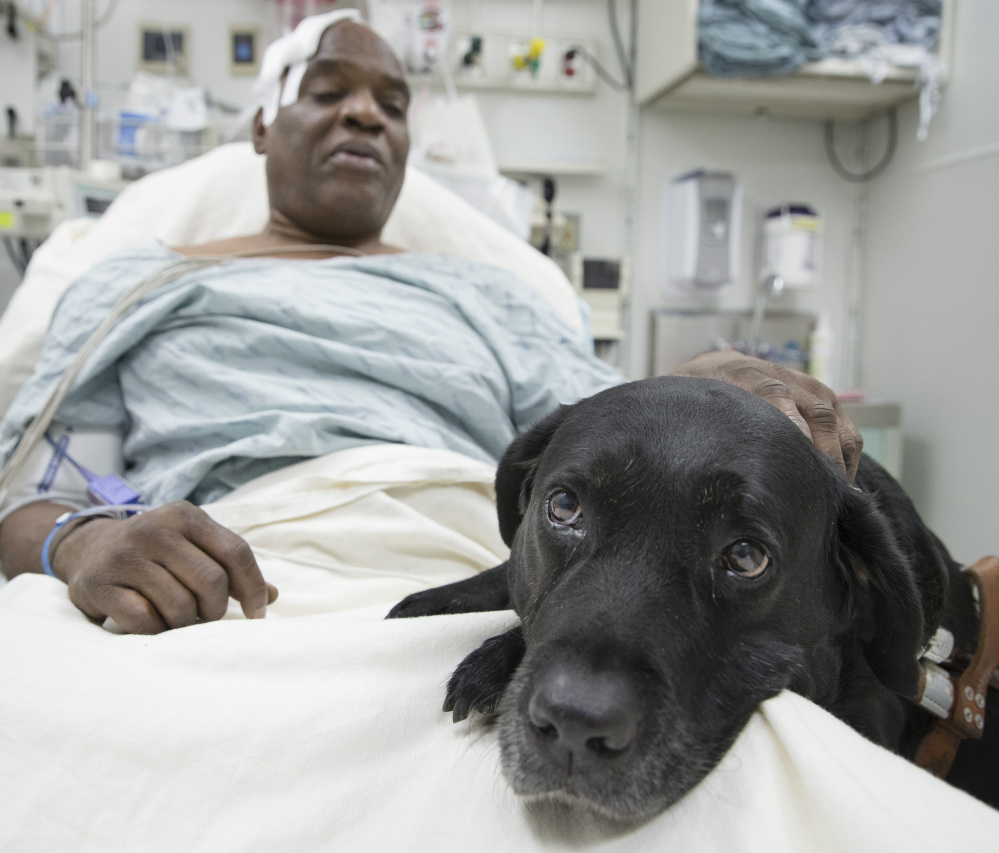 Cecil Williams pats his guide dog, Orlando, in his hospital bed following a fall Tuesday onto subway tracks in New York. Orlando tried to keep the blind 61-year-old from falling, then leaped to the tracks to keep him safe.