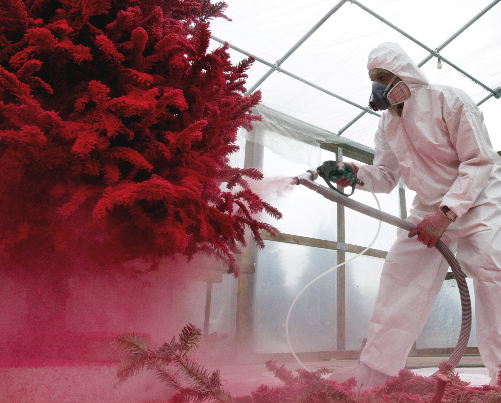 Charles Banks flocks a Christmas tree in red at Charlie’s Produce and Nursery in Yorktown, Va.