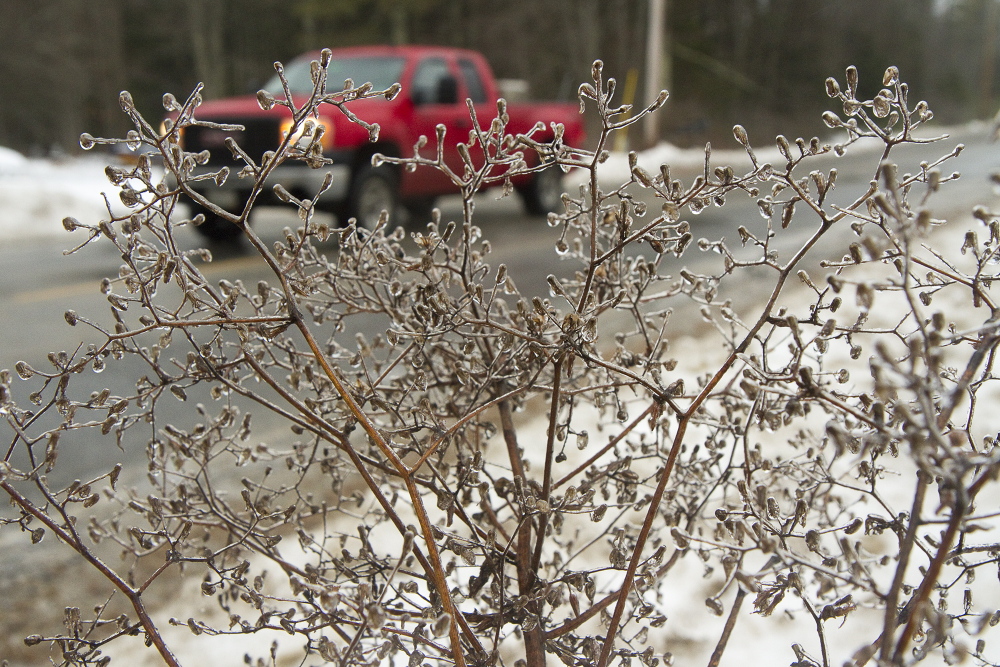 Ice encrusts a bush as a truck passes by on Saco Road in Standish on Sunday.