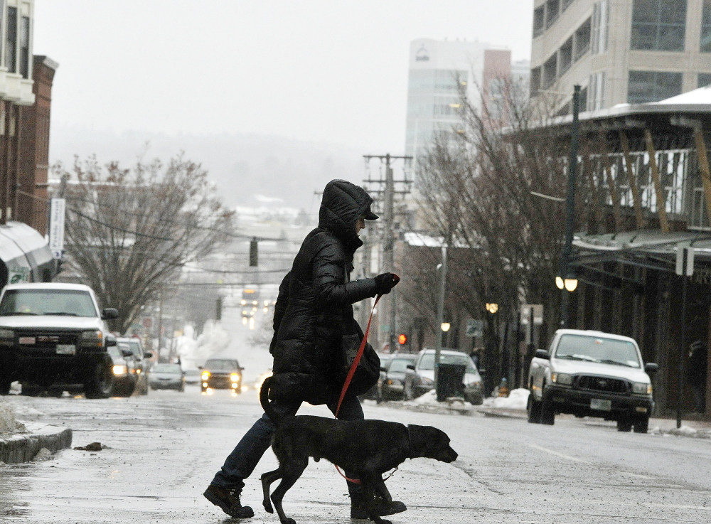 A pedestrian and her dog make their way across an icy intersection on Preble Street in downtown Portland on Monday morning. Few lost power in Cumberland County, but the ice storm left roads slippery during the commute Monday morning.