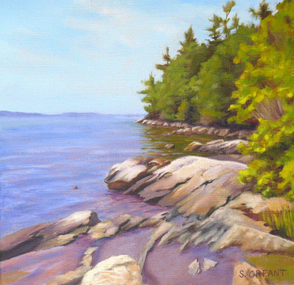 “Tidepools at Wolfe’s Neck” by Susan Orfant