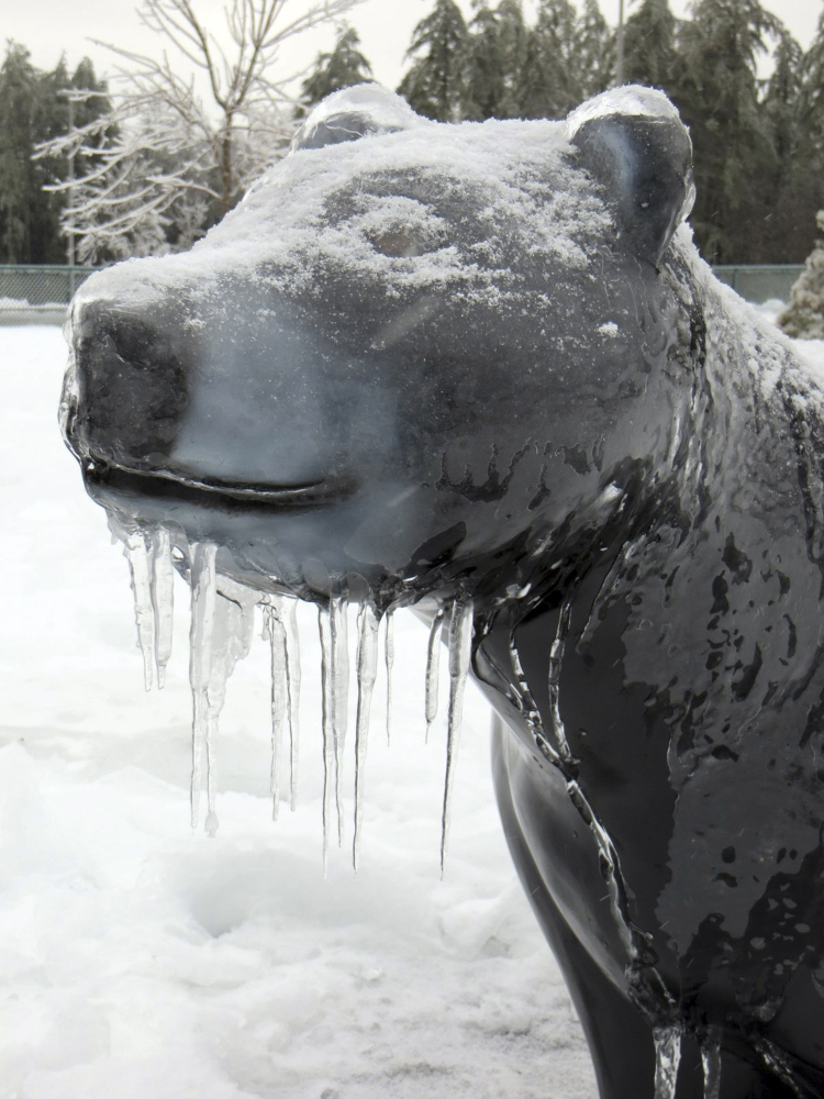 Icicles hang from the statue of a bear outside a rest area off Interstate 295 in Gardiner.