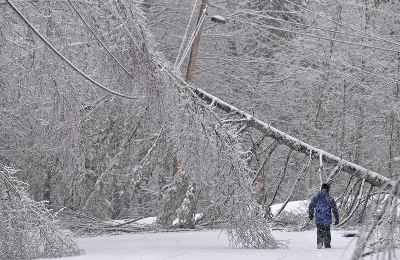 Karen Gibbs walks through a labyrinth of icy broken trees and downed power lines to her home on Maplehurst Drive in Belgrade on Thursday. Residents of Maplehurst Drive lost electricity Monday.