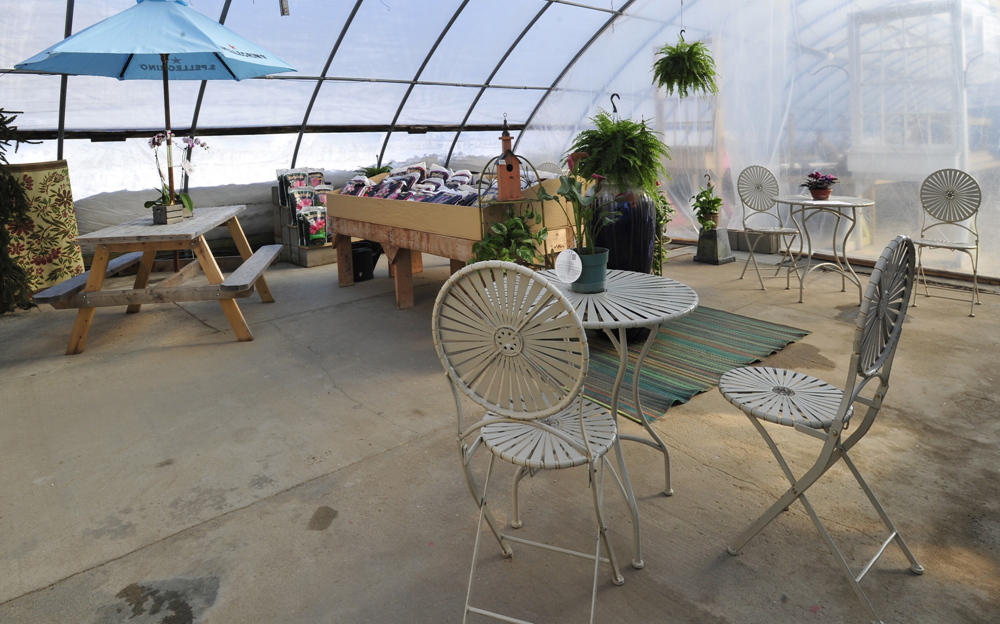 The new eating area, bright and sunny with lots of plant life.
