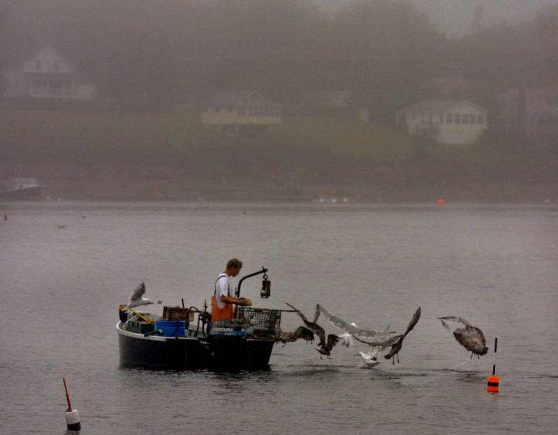 An unidentified lobsterman tends to his traps in this 2002 file photo.