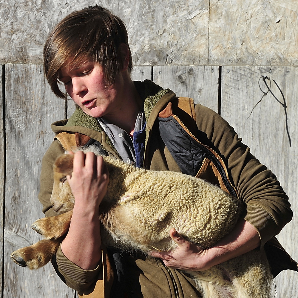 When Kaitlyn Gardner, the farm’s teen agriculture coordinators, put out word of a lamb-watch on social media, it even attracted some urbanites who became charmed by the wonders of rural life.