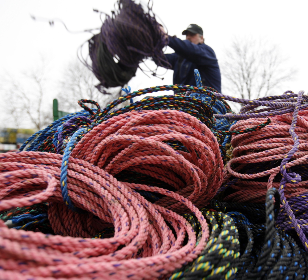 In this March 27, 2009 file photo, a lobsterman throws additional fishing rope onto a pile in Rockland, Maine. Researcher Scott Kraus said at the annual Maine Fishermen’s Forum in February 2014 in Rockland, that preventing endangered North Atlantic right whales from becoming entangled in lobster gear could be as simple as changing the color of the rope.