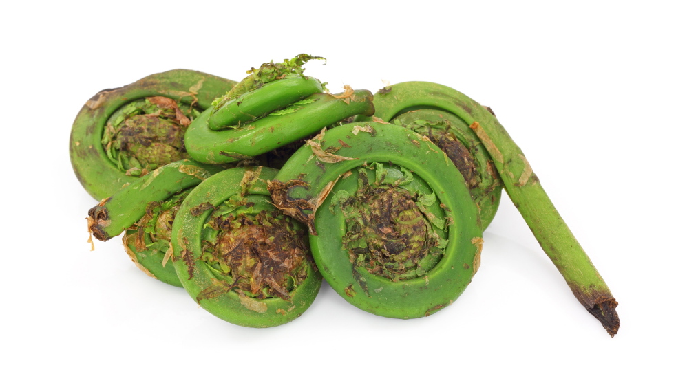 Fern stuff: Fiddleheads are the shooting stars on spring menus ... at your favorite restaurant or your own kitchen.