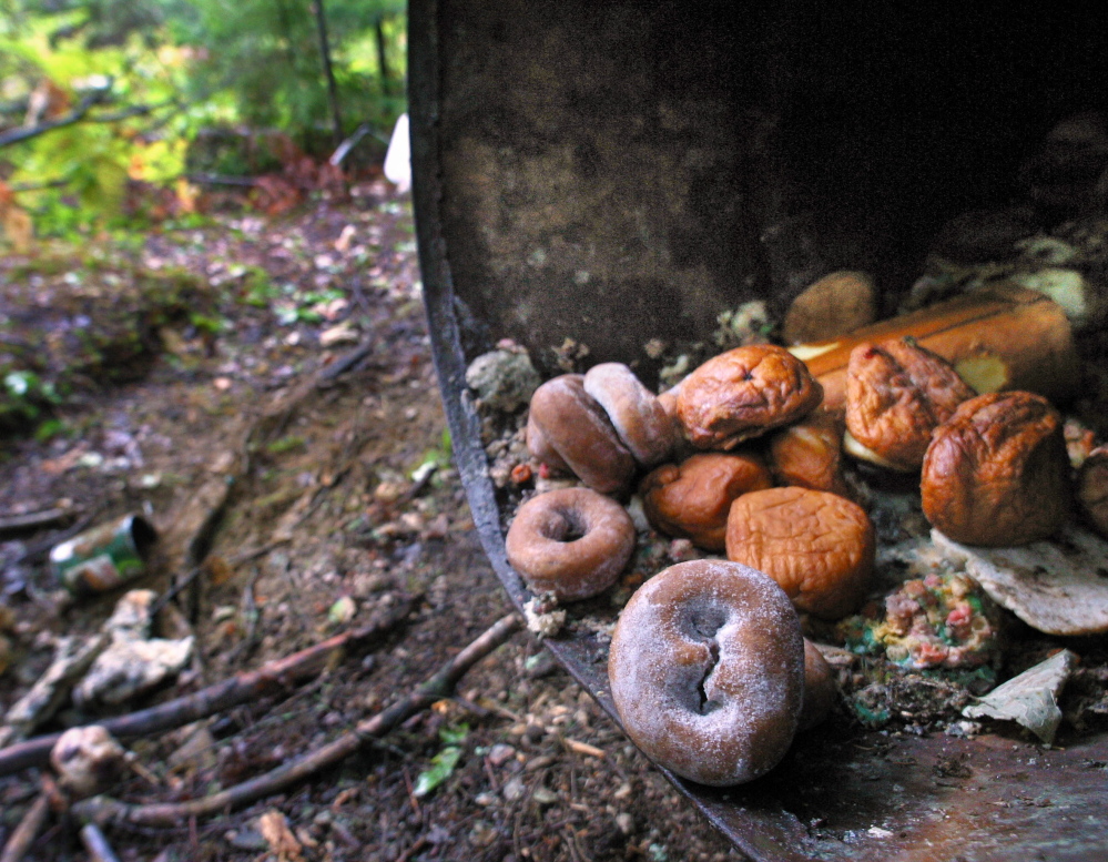 Stale doughnuts, muffins and jelly rolls are among the foods sometimes used as bait. “Bear hunting is a big part of our rural economy,” said Don Kleiner, executive director of the Maine Professional Guides Association.