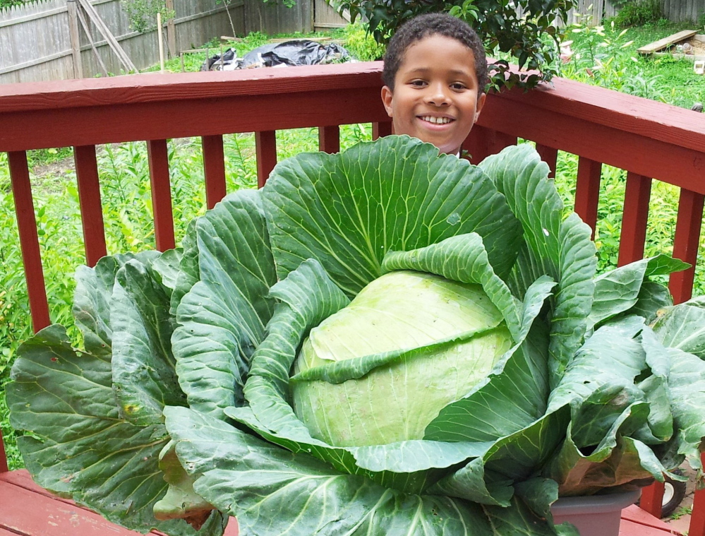 Virginia third-grader Leo Massery proudly shows off his winning cabbage.