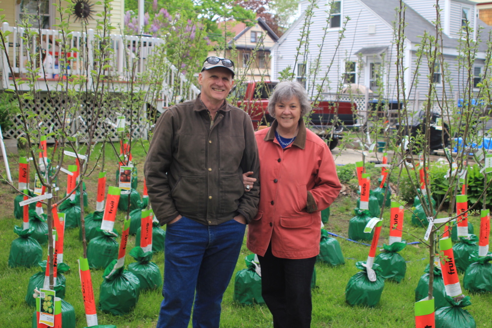 Alastair Lough and Patricia Proulx-Lough with 49 fruit trees they had planted on Rosemont Avenue in Portland with the help of neighbors. Such efforts are chronicled in the new documentary “Orchard Revolution.”
