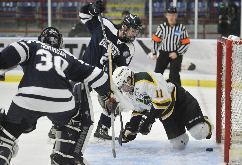 Michael Hill, 11, of St. Norbert scores an unassisted goal late in the second period that proved to be the winner Friday in a 6-2 victory against SUNY-Geneseo in the semifinals of the NCAA Division III Frozen Four at Lewiston. The Green Knights will meet Wisconsin-Stevens Point in the final.
