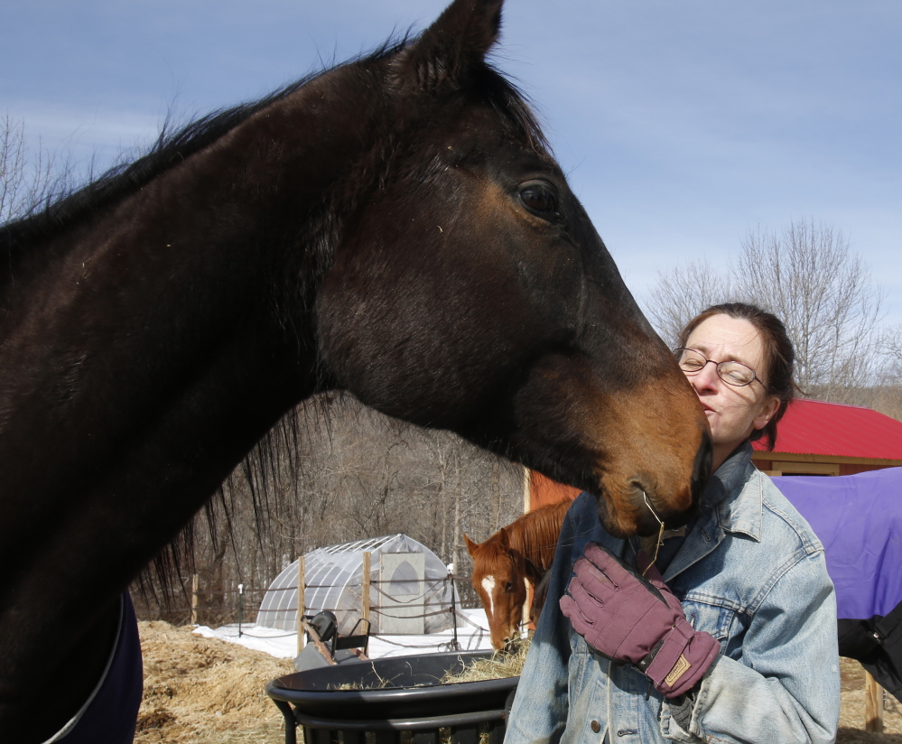 Elizabeth Dickerson talks to Graduate, a thoroughbred she rescued from Maryland over a year ago. Dickerson rescues horses, rehabilitating and training some on her Rockland farm and finding homes for others.