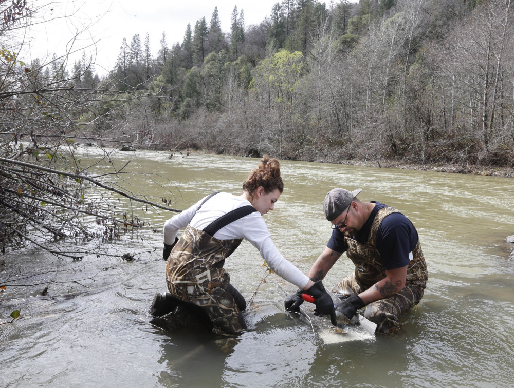 Tim Amavisca, 38, and his daughter Hailey, 15, use a sluice box to trap gold flakes on a textured rubber mat as they search for gold along the Bear River near Colfax, Calif.