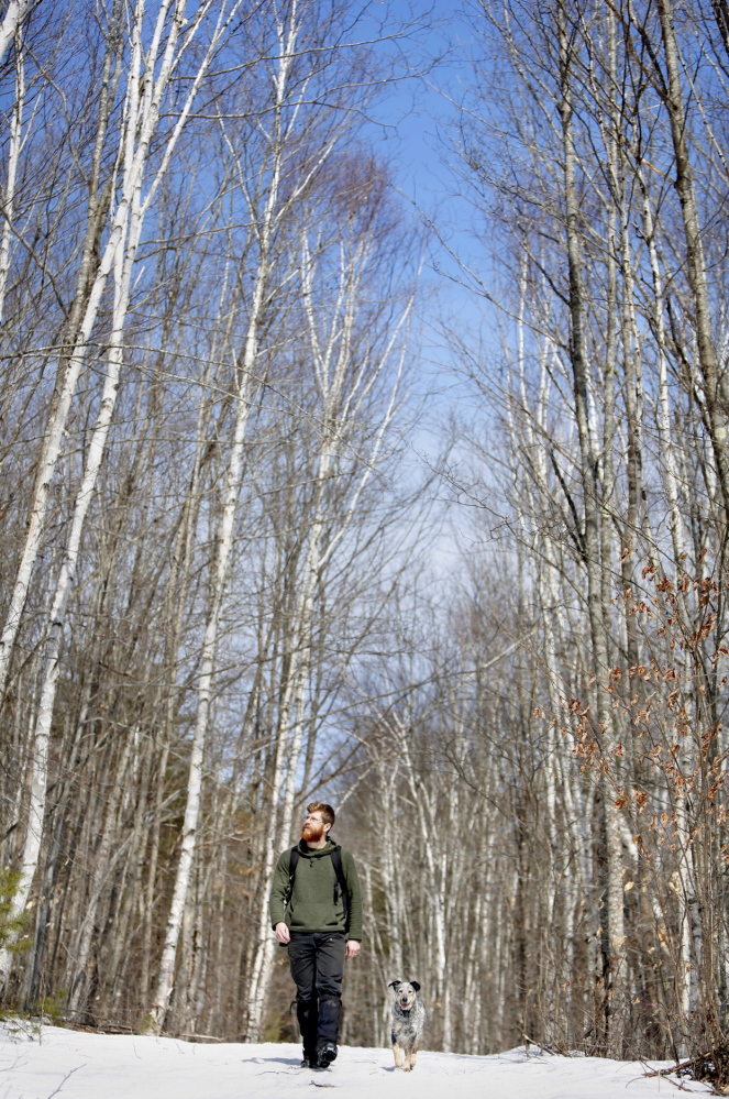 Dwarfed by birch trees, Andy McEvoy, director of Hidden Valley Nature Center, and dog Abe enjoy a walk on one of the many groomed trails at the Hidden Valley Nature Center in Jefferson.