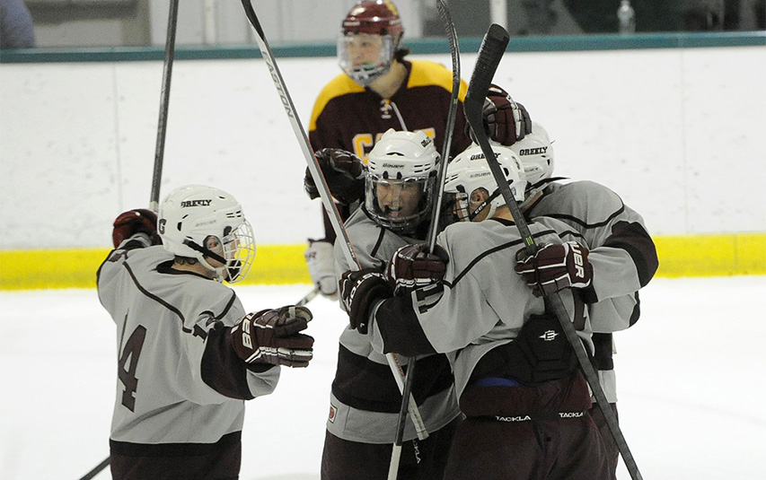 Greely's Peter Hurley (14) joins his teammates as they celebrate their third goal in the first period against Cape Elizabeth in the Class B West quarterfinal at Family Ice Center in Falmouth.