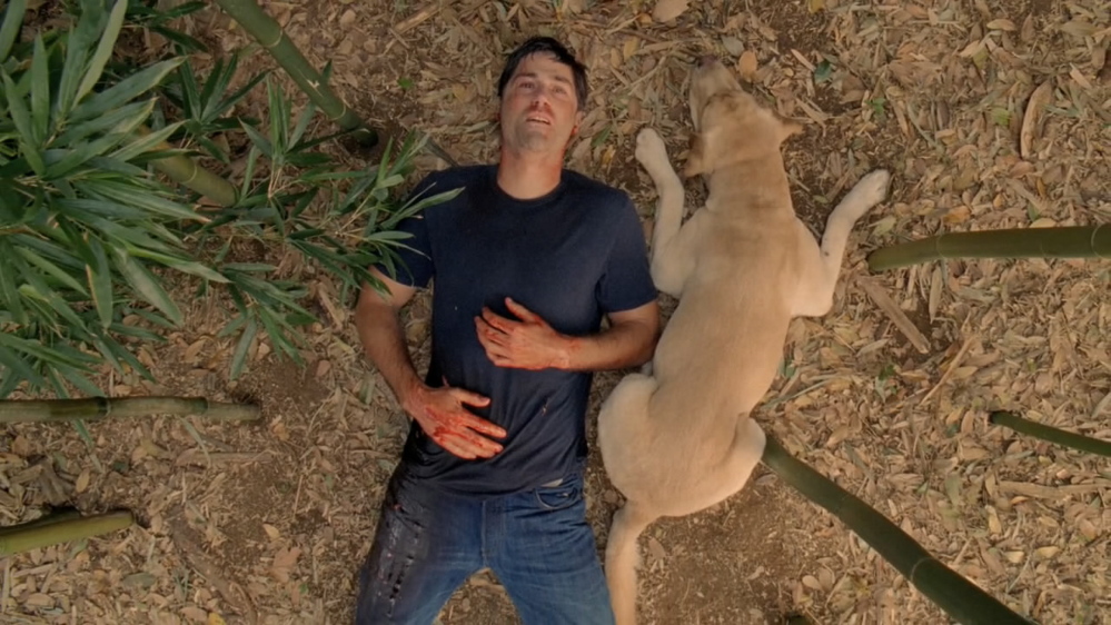 Jack, played by Matthew Fox, in a scene from the finale of “Lost.”