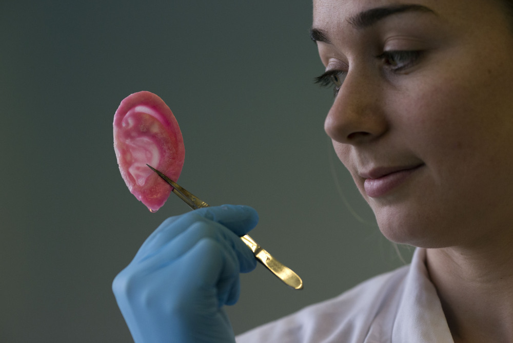 Dr Michelle Griffin, a plastic research fellow, holds a synthetic polymer ear at her research facility in the Royal Free Hospital in London on March 31.