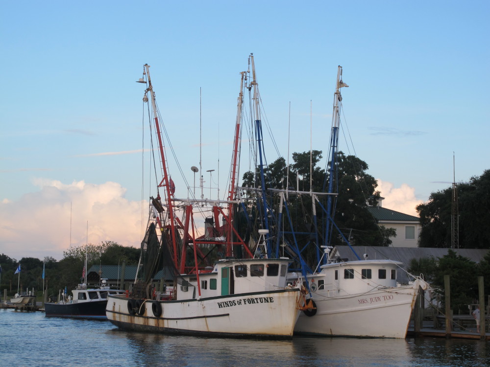 Shrimp boats sit at dock in Mount Pleasant, S.C., last summer. Consumers should question whether the shrimp they’re buying is fresh and local as advertised.