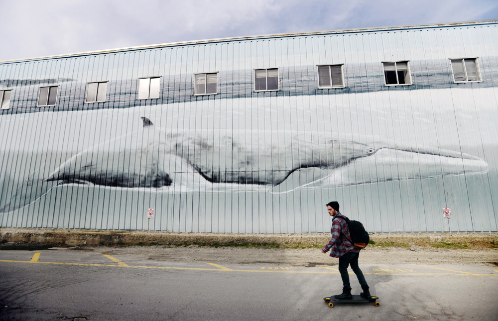 A skateboarder rolls past the whale mural on one side of a city-owned building on the Maine State Pier this week. Robert Wyland painted the wall in 1993, but renovation plans mean changes are in store for the landmark artwork.