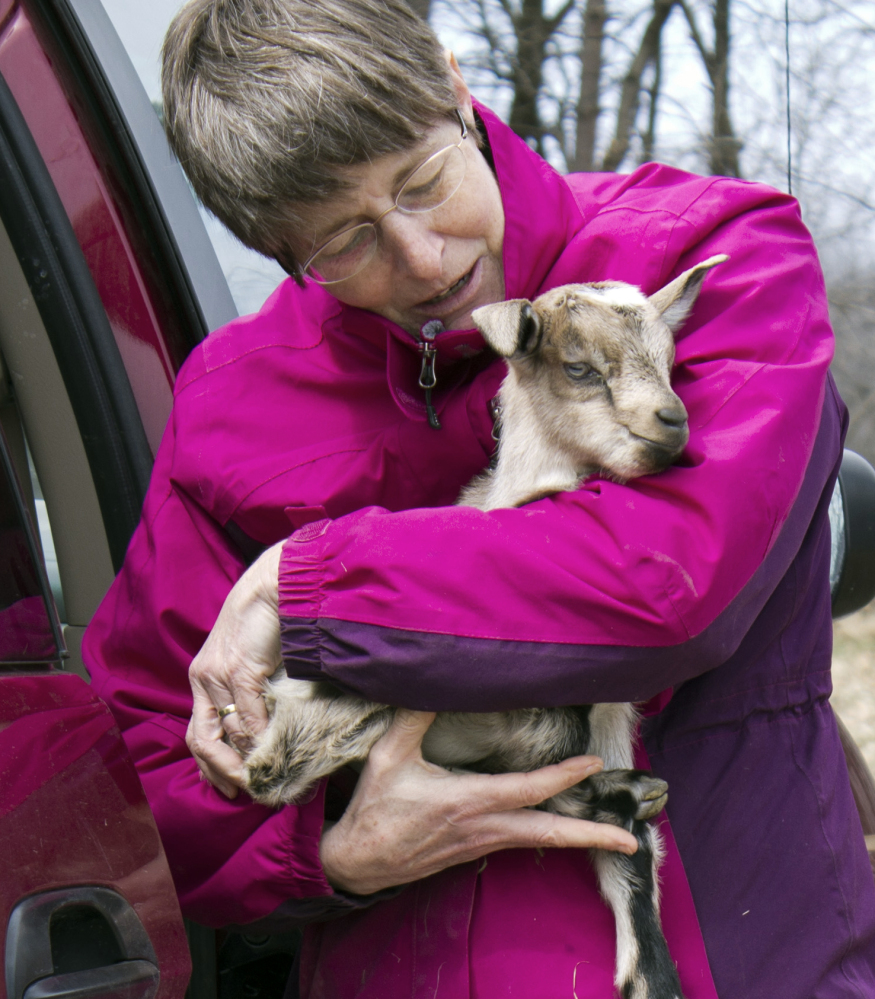 Karen Freudenberger takes a goat to the barn at the Vermont Goat Collaborative in Colchester, Vt. Freudenberger is helping refugees and immigrants raise goats.
